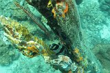 Curacao 04-12 093